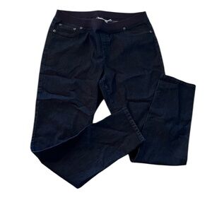 Chico's | Platinum Dark Blue Skinny Jeans